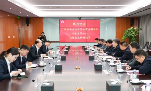 廣西壯族自治區(qū)河池市委副書記、市長(zhǎng)王軍蒞臨桐昆