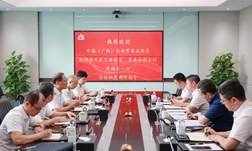 中國（廣西）自由貿(mào)易試驗區(qū)欽州港片區(qū)管理委員會副主任、黨工委委員莫福文蒞臨桐昆調(diào)研