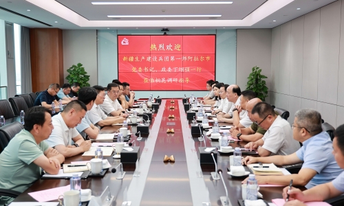 新疆生產(chǎn)建設(shè)兵團第一師阿拉爾市 黨委書記、政委丁翊強蒞臨桐昆調(diào)研