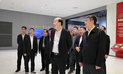 廣西壯族自治區(qū)河池市委副書記、市長王軍蒞臨桐昆調(diào)研