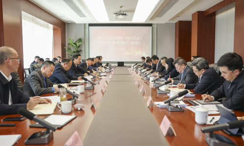 堅(jiān)持“四化”發(fā)展，共話新質(zhì)生產(chǎn)力丨桐昆集團(tuán)董事長(zhǎng)受邀參加嘉興市化工新材料（綠色石化）產(chǎn)業(yè)鏈“鏈長(zhǎng)+鏈主”座談會(huì)！
