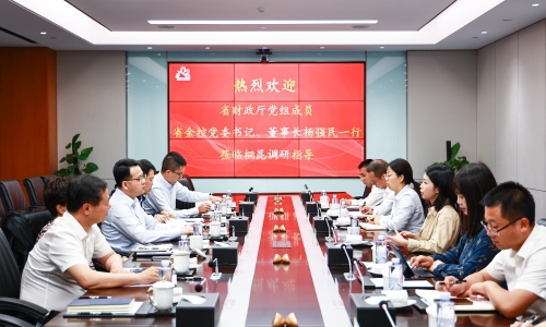 浙江省財政廳黨組成員，省金控黨委書記、董事長楊強民蒞臨桐昆調(diào)研