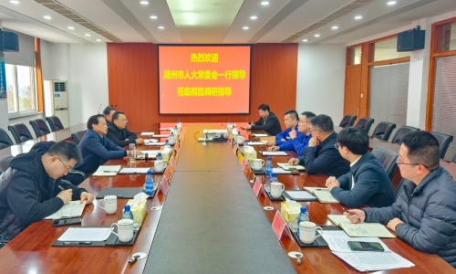 湖州市人大常委會黨組書記、主任孫賢龍蒞臨桐昆恒騰調(diào)研